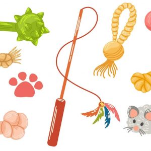 Cat Toys