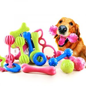 Dog Toys