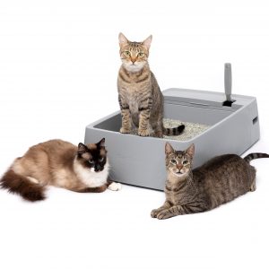 Litter Boxes